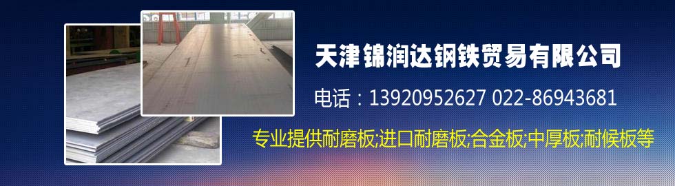 进口耐磨板