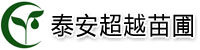 [灵台]高新区超越苗圃(平凉市灵台县分公司)