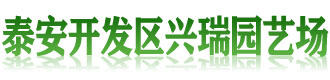 [孝感]开发区兴瑞园艺场(孝感市分公司)